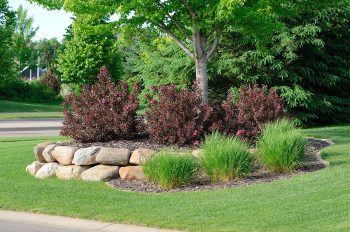 planting mulching landscaping