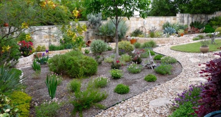 Grapevine Backyard Xeriscaping