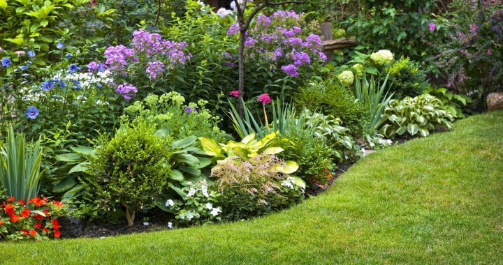 lawn care services with flower bed landscaping