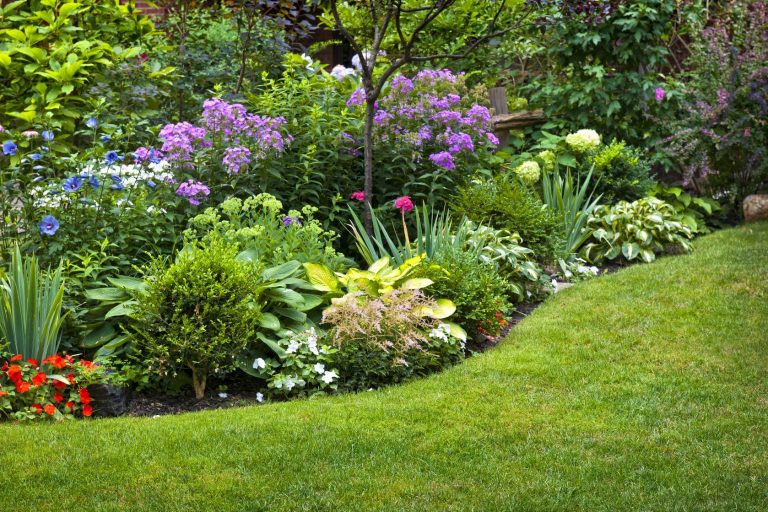 lawn care services with flower bed landscaping