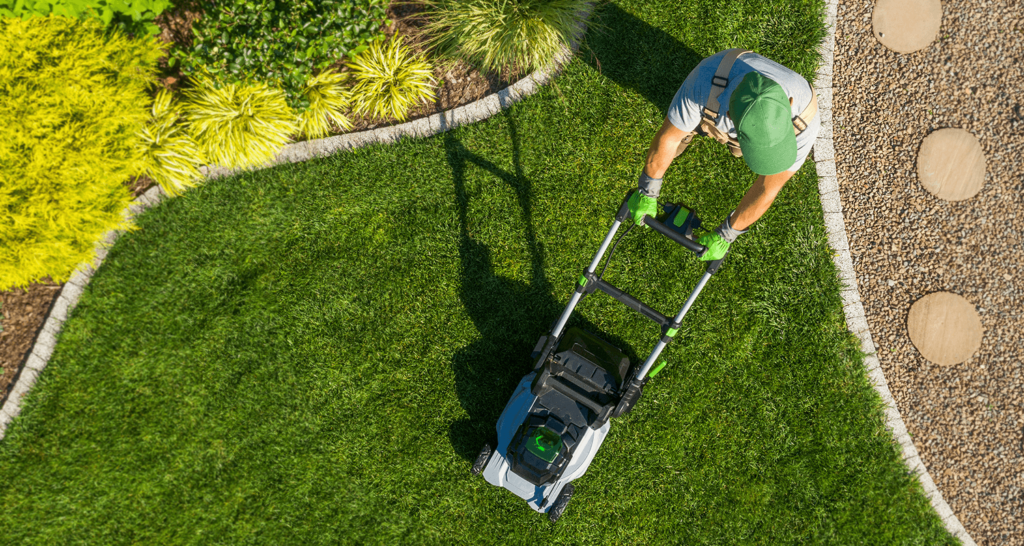 lawn maintenance in denver co