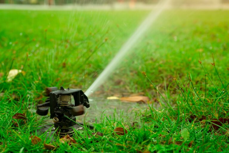 Should I water my lawn in the fall?